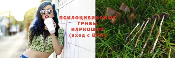 мдма Няндома