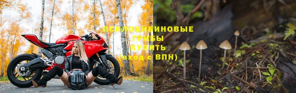 мдма Няндома