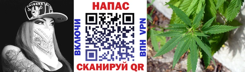 Купить закладки  Братск  Бошки Шишки VHQ 